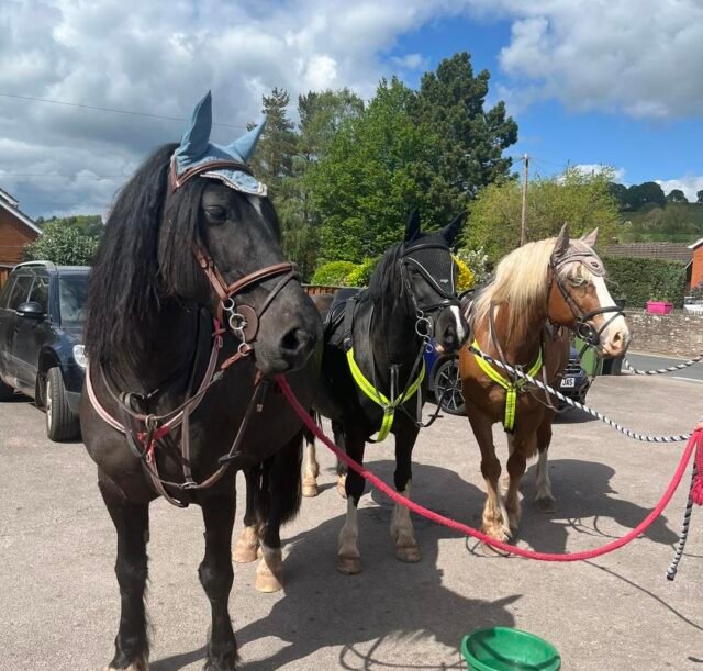 Visitors at The Boughton